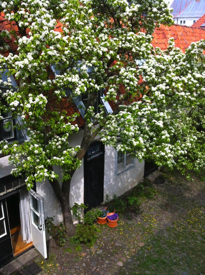 Dahmskahuset Apartment Kalmar Exterior photo